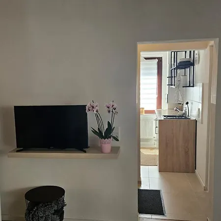 아파트 Stadtteil Moritzberg *